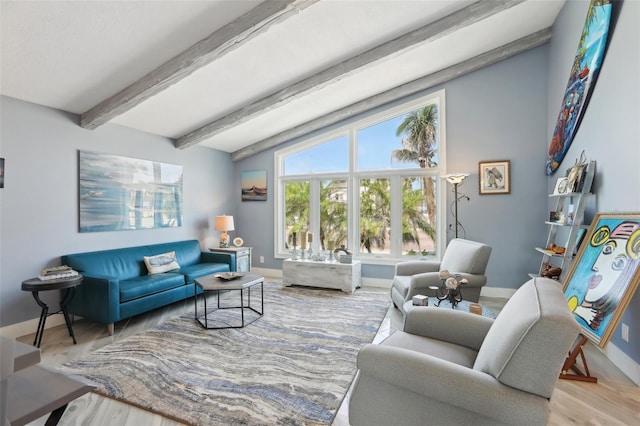 931 Gulf Blvd, Belleair Beach, FL 33786 - living area with baseboards and wood finished floors