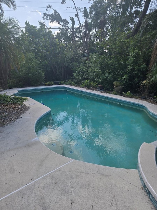 1831 Pasadena Dr, Dunedin, FL 34698 - view of outdoor pool