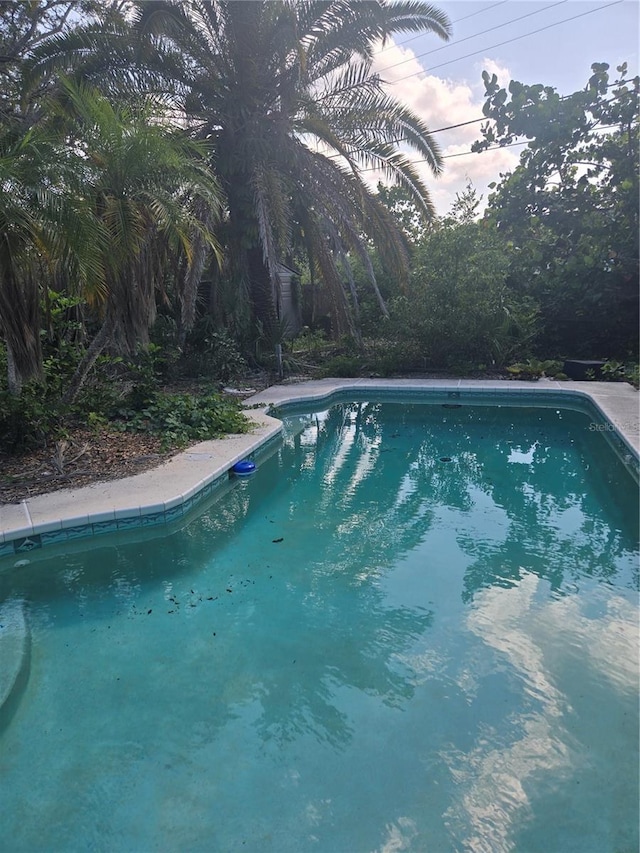 1831 Pasadena Dr, Dunedin, FL 34698 - view of outdoor pool