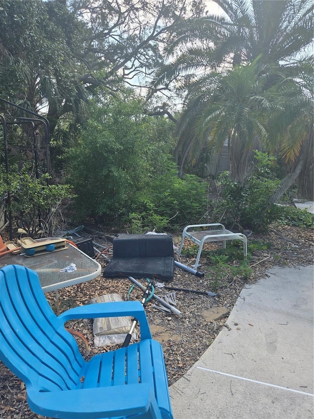 1831 Pasadena Dr, Dunedin, FL 34698 - view of yard