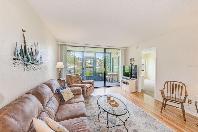 14130 Rosemary Ln Unit 4115, Largo, FL 33774 - living room featuring expansive windows and light wood finished floors