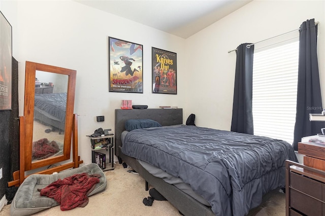 7603 Wood Violet Dr, Gibsonton, FL 33534 - view of carpeted bedroom