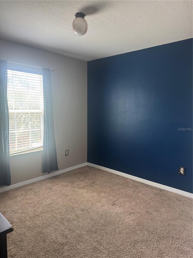 9833 Hound Chase Dr, Gibsonton, FL 33534 - spare room with carpet flooring, a textured ceiling, and baseboards