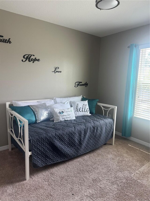 9833 Hound Chase Dr, Gibsonton, FL 33534 - bedroom with carpet flooring and baseboards