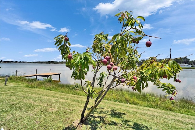 6425 Clair Shore Dr, Apollo Beach, FL 33572 - water view