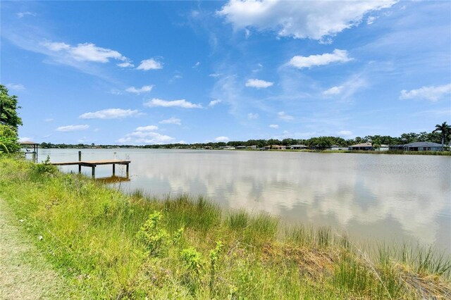 6425 Clair Shore Dr, Apollo Beach, FL 33572 - dock with a water view