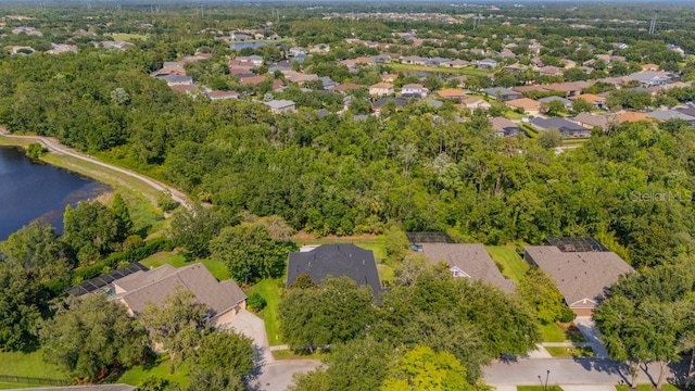 15934 Sorawater Dr, Lithia, FL 33547 - aerial view of property's location featuring nearby suburban area and a nearby body of water