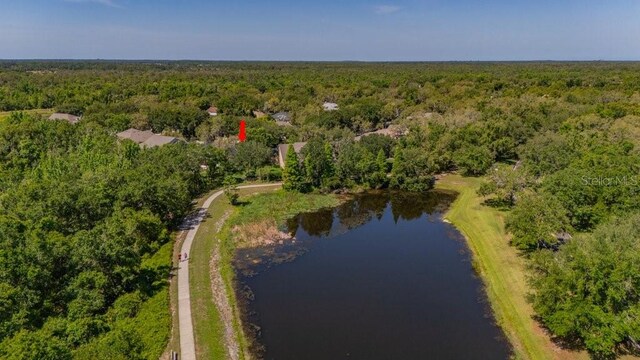 15934 Sorawater Dr, Lithia, FL 33547 - aerial view of property and surrounding area featuring a forest and a nearby body of water