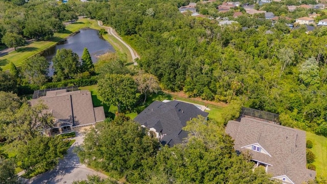 15934 Sorawater Dr, Lithia, FL 33547 - aerial view of property's location featuring a large body of water