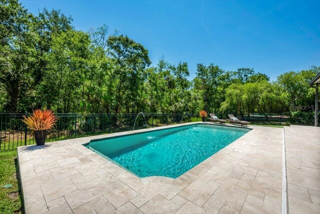 15934 Sorawater Dr, Lithia, FL 33547 - view of pool with a patio area