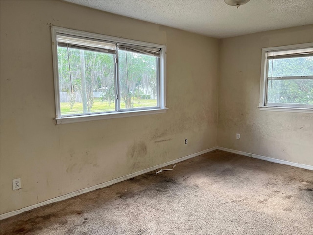 403 E Carolina Ave, Plant City, FL 33563 - carpeted spare room featuring plenty of natural light, a textured ceiling, and baseboards