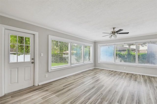 2709 S Manhattan Ave, Tampa, FL 33629 - photo 19