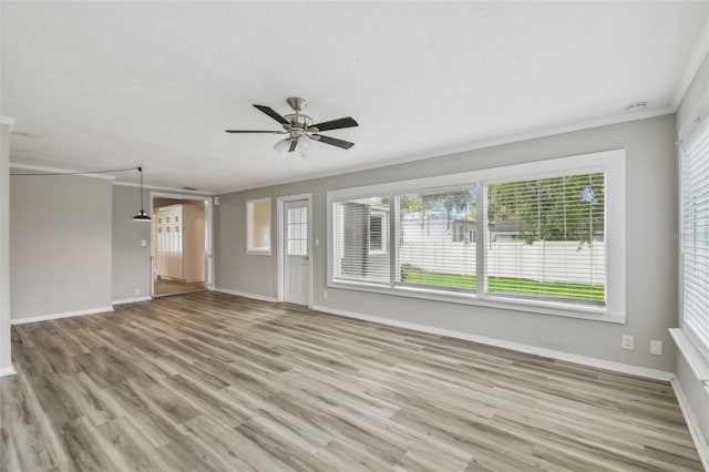 2709 S Manhattan Ave, Tampa, FL 33629 - photo 20