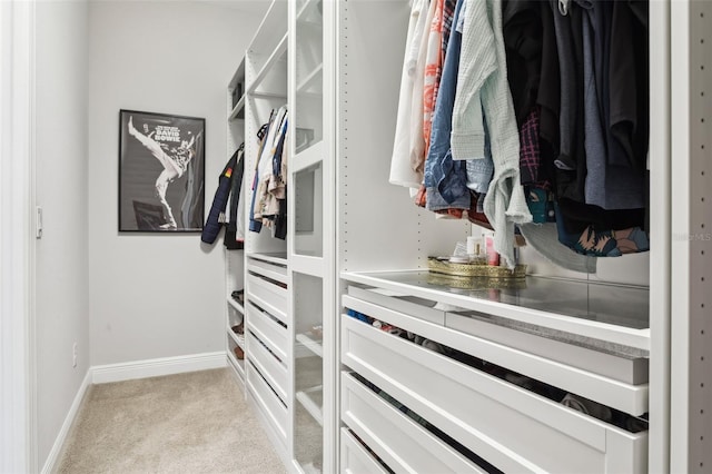 5314 Alafia Falls Dr, Lithia, FL 33547 - walk in closet with light carpet