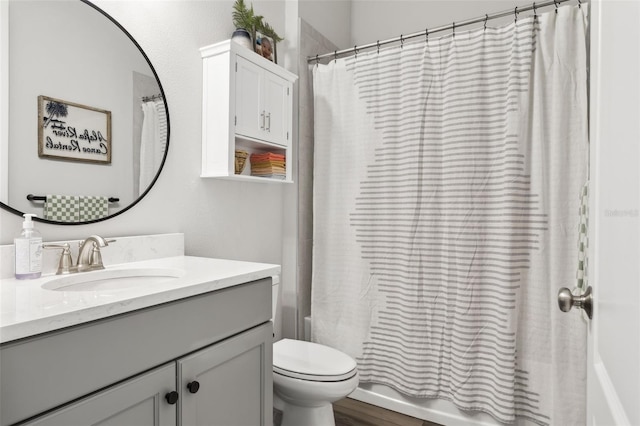 5314 Alafia Falls Dr, Lithia, FL 33547 - bathroom featuring vanity, shower / tub combo, and toilet
