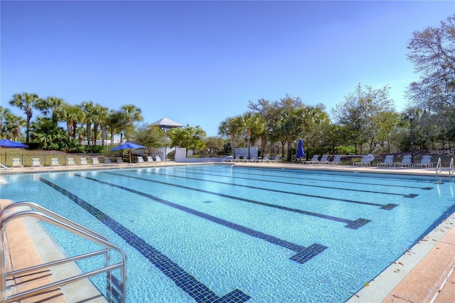 5314 Alafia Falls Dr, Lithia, FL 33547 - view of community pool