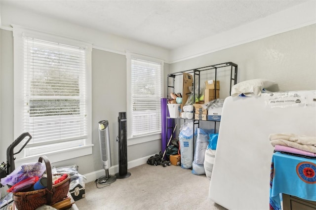1206 E Frierson Ave Unit B, Tampa, FL 33603 - misc room with carpet and baseboards