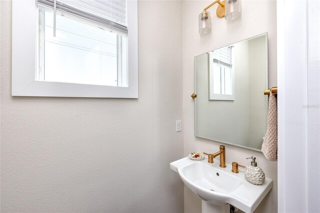 1529 N Morgan St, Tampa, FL 33602 - photo 31