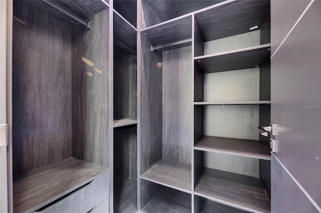 6522 Simone Shores Cir, Apollo Beach, FL 33572 - view of walk in closet