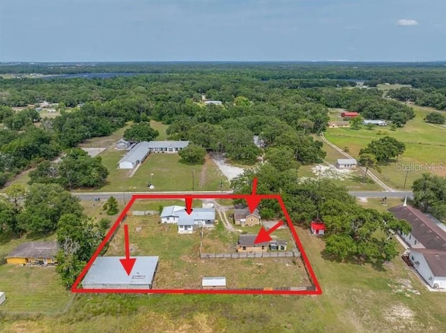 5109 Horton Rd, Plant City, FL 33567 - aerial overview of property's location featuring a forest and property parcel outlined