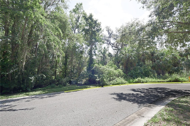 4710 Rambling River Rd, Brandon, FL 33511