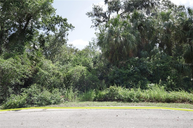 4710 Rambling River Rd, Brandon, FL 33511