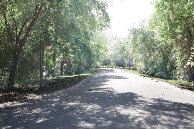 4710 Rambling River Rd, Brandon, FL 33511