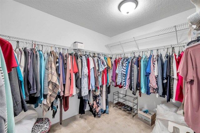 10833 Breaking Rocks Dr, Tampa, FL 33647 - walk in closet with carpet floors