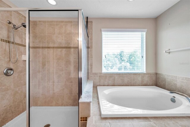 10833 Breaking Rocks Dr, Tampa, FL 33647 - full bathroom featuring a shower stall, plenty of natural light, and a garden tub