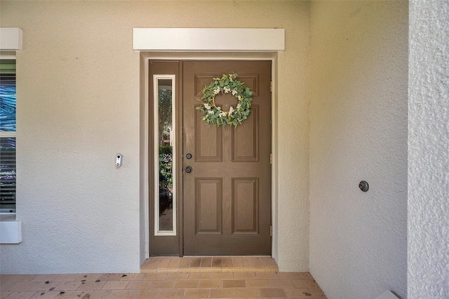10833 Breaking Rocks Dr, Tampa, FL 33647 - property entrance with stucco siding