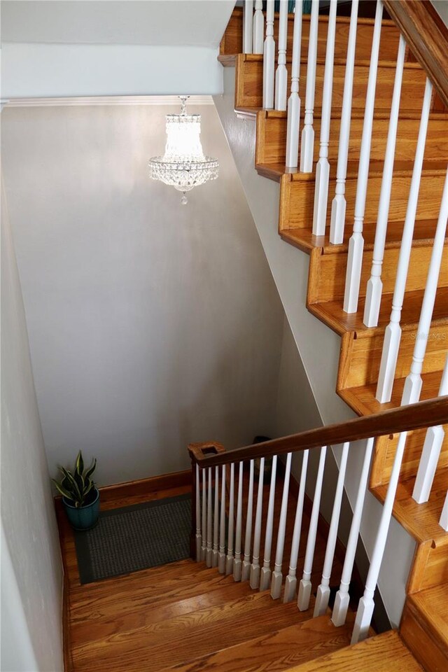 24197 Treasure Island Blvd, Punta Gorda, FL 33955 - staircase with wood finished floors and a chandelier