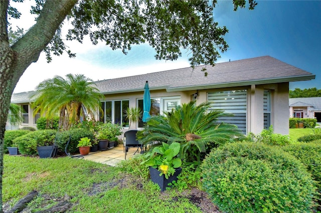 1210 Wolford Dr, Trinity, FL 34655 - back of house with a patio area, stucco siding, and roof with shingles
