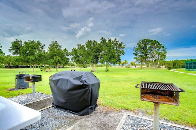 1210 Wolford Dr, Trinity, FL 34655 - view of grassy yard