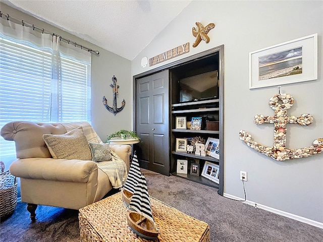 1445 Stonehenge Way, Palm Harbor, FL 34683 - sitting room with carpet, lofted ceiling, and a textured ceiling
