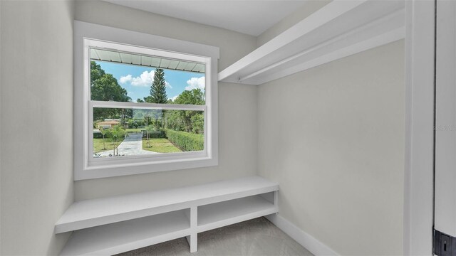 390 Windermere Dr, Lakeland, FL 33809 - photo 35
