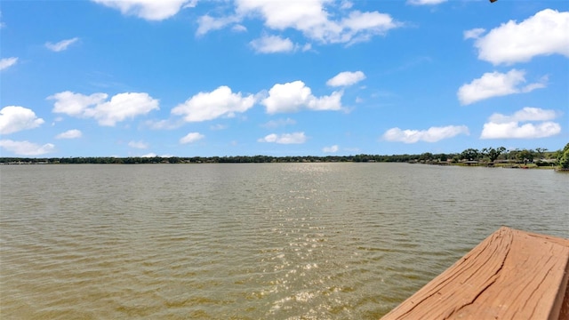 390 Windermere Dr, Lakeland, FL 33809 - photo 40