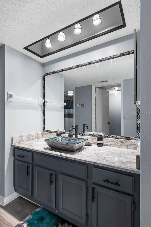 609 Lively Dr Unit B, Sun City Center, FL 33573 - full bath with a textured ceiling, vanity, wood finished floors, baseboards, and a shower