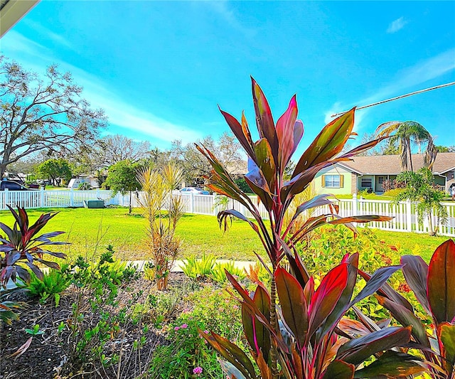 1608 20th Ave W, Palmetto, FL 34221 - view of yard