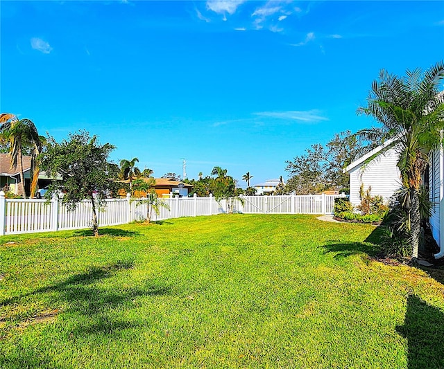 1608 20th Ave W, Palmetto, FL 34221 - view of yard