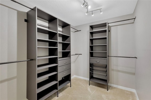 7732 Bulls Head Dr, Wesley Chapel, FL 33545 - spacious closet with light carpet