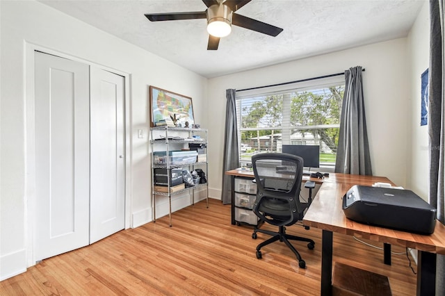 5005 W Evelyn Dr, Tampa, FL 33609 - office with light wood-style floors and ceiling fan