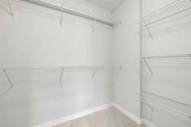 2510 Laurelwood Dr Unit 5B, Clearwater, FL 33763 - spacious closet with carpet