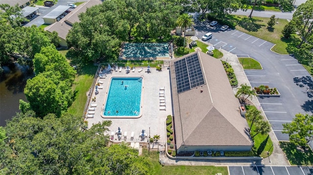 2510 Laurelwood Dr Unit 5B, Clearwater, FL 33763 - drone / aerial view of a pool area