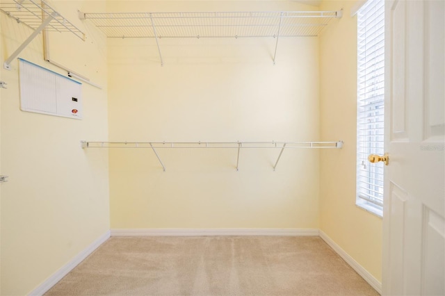 2005 Strathmill Dr, Clearwater, FL 33755 - photo 19