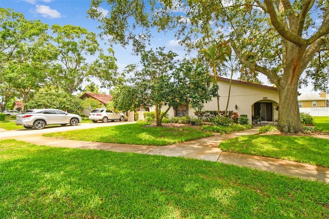 3476 Tarpon Woods Blvd, Palm Harbor, FL 34685 - view of green lawn featuring concrete driveway