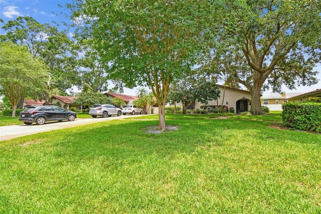 3476 Tarpon Woods Blvd, Palm Harbor, FL 34685 - view of green lawn with concrete driveway