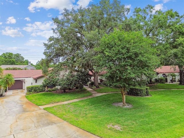 3476 Tarpon Woods Blvd, Palm Harbor, FL 34685 - view of front facade featuring a tile roof, a front yard, driveway, and stucco siding