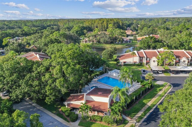 3476 Tarpon Woods Blvd, Palm Harbor, FL 34685 - aerial view of a heavily wooded area, a nearby body of water, and a pool