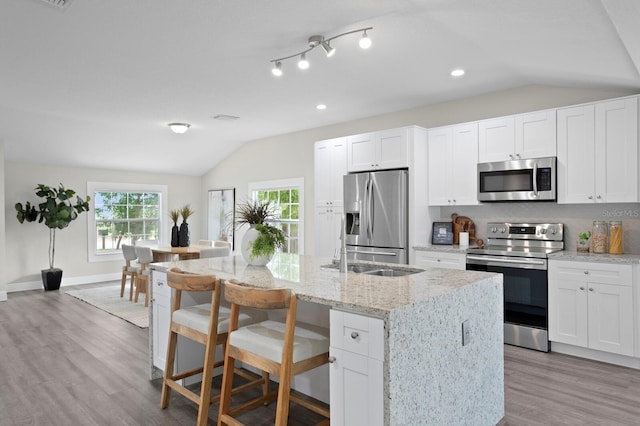 4121 W San Nicholas St, Tampa, FL 33629 - kitchen with stainless steel appliances, vaulted ceiling, healthy amount of natural light, wood finished floors, and a center island with sink