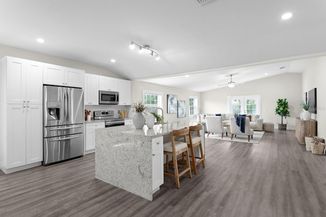 4121 W San Nicholas St, Tampa, FL 33629 - kitchen with stainless steel appliances, vaulted ceiling, white cabinetry, plenty of natural light, and dark wood-type flooring